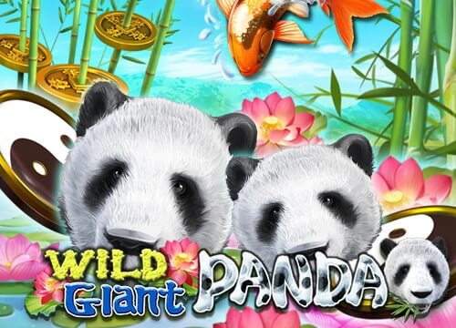 ทางเข้าจีคลับ เล่นสล็อต wild giant panda เกมแจกโบนัสหลายต่อ 